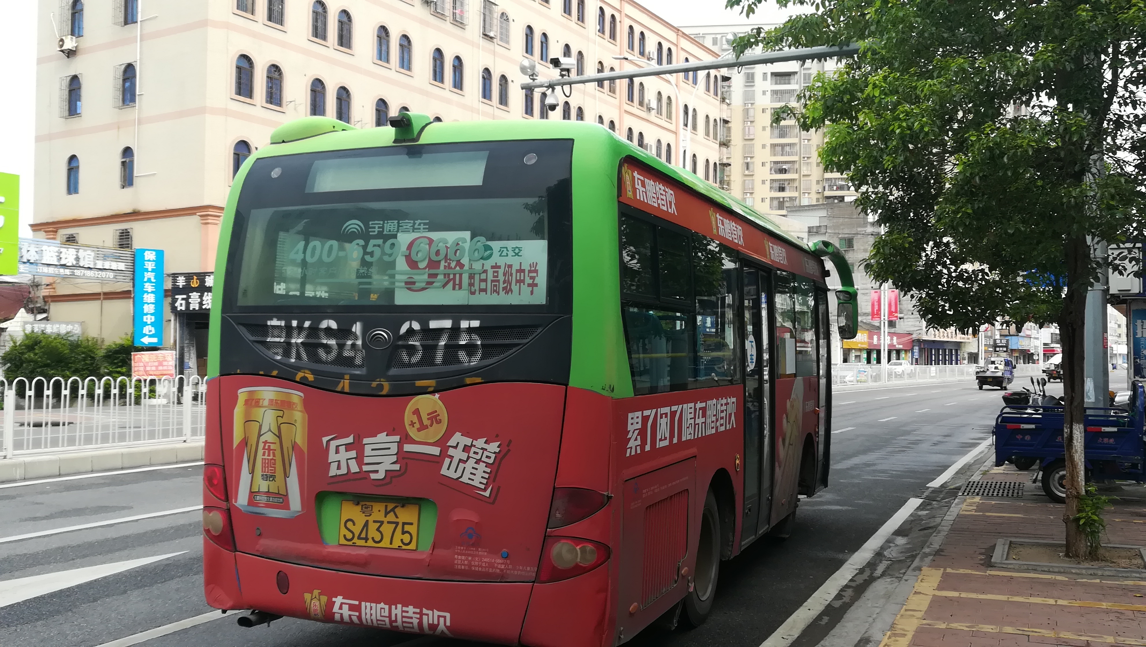 稀有物种——电白粤运公交d108路公交车-茂名论坛