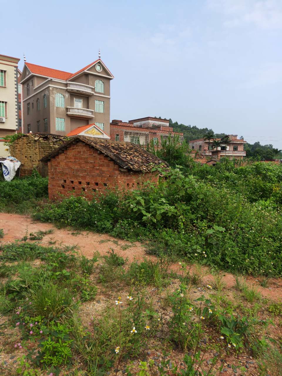 茂名市茂南区镇盛镇元亨龙坑村