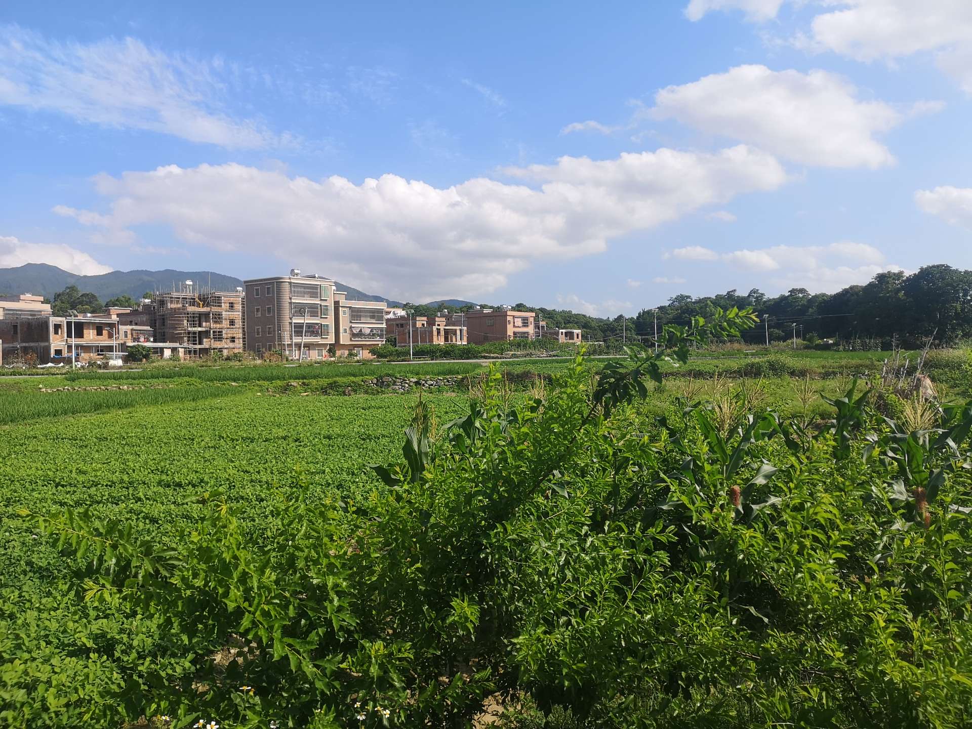 广东普宁流沙镇南山村图片